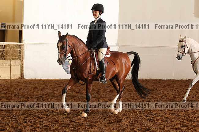 Proof Number 11yn_14191