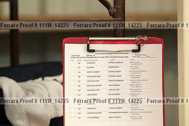 Proof Number 11yn_14225