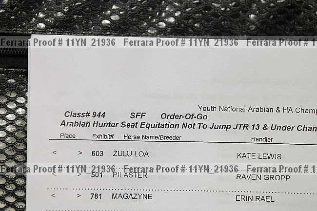 Proof Number 11yn_21936