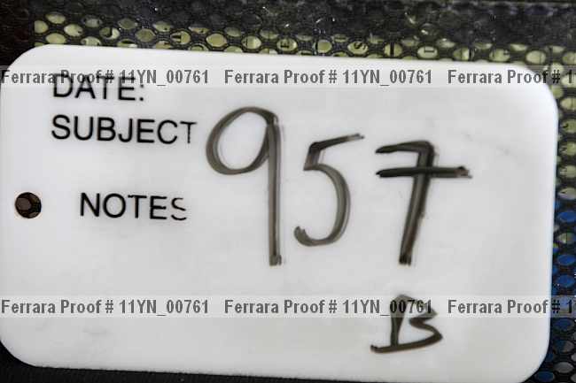 Proof Number 11yn_00761