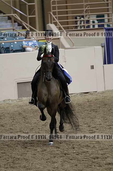 Proof Number 11yn_04964