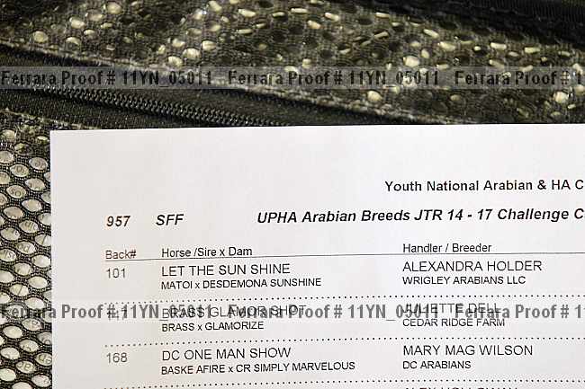 Proof Number 11yn_05011