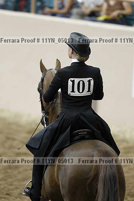 Proof Number 11yn_05013