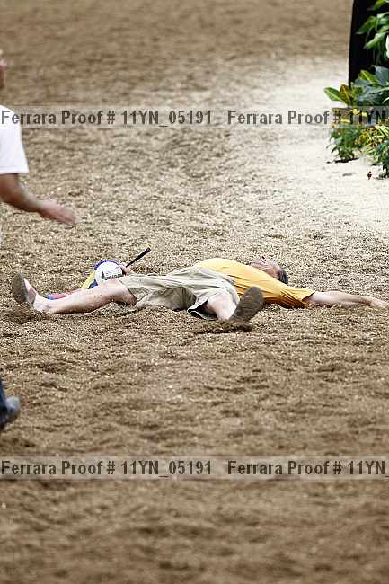 Proof Number 11yn_05191
