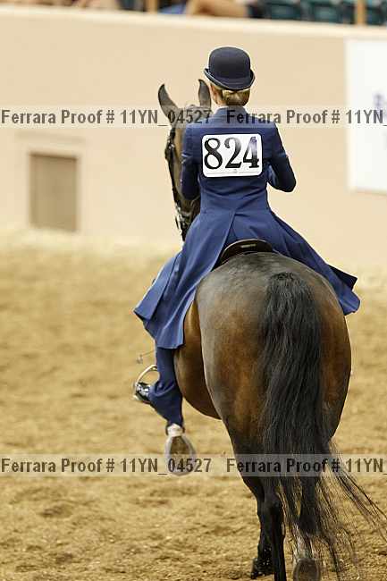 Proof Number 11yn_04527