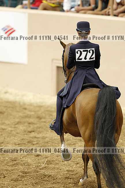 Proof Number 11yn_04541