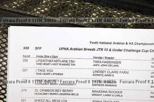 Proof Number 11yn_04625