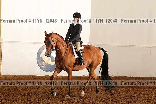 Proof Number 11yn_12048
