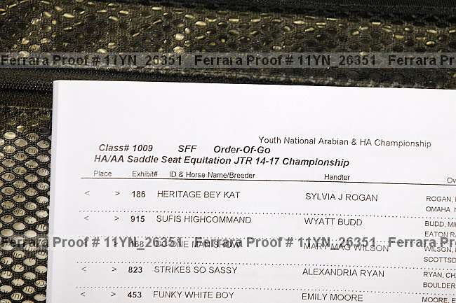 Proof Number 11yn_26351