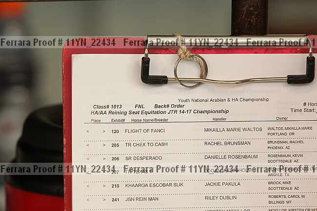 Proof Number 11yn_22434