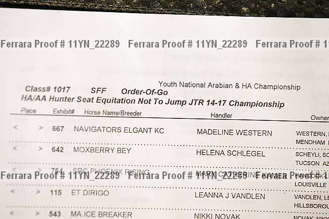 Proof Number 11yn_22289