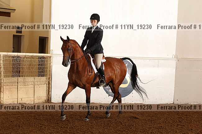 Proof Number 11yn_19230