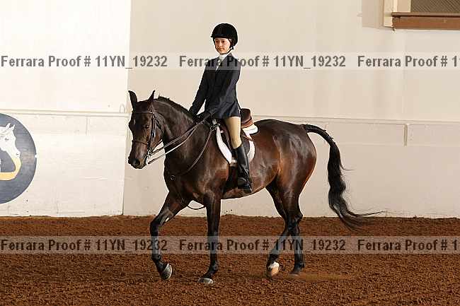 Proof Number 11yn_19232