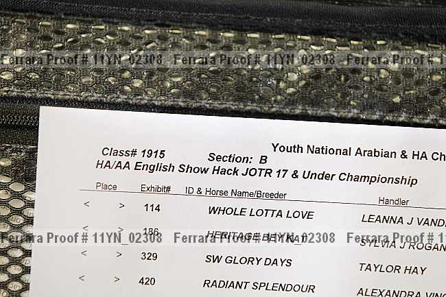 Proof Number 11yn_02308