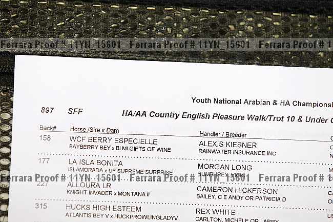 Proof Number 11yn_15601