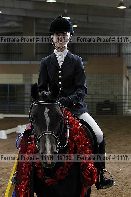 Proof Number 11yn_18732