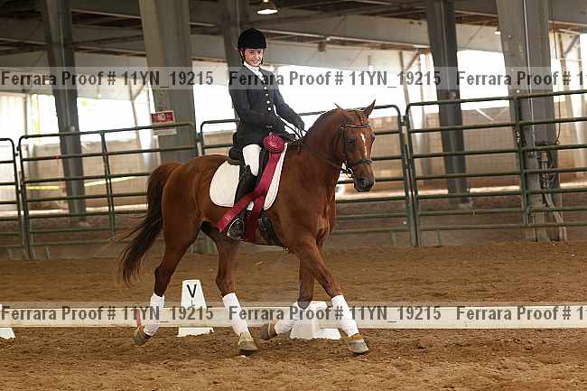 Proof Number 11yn_19215
