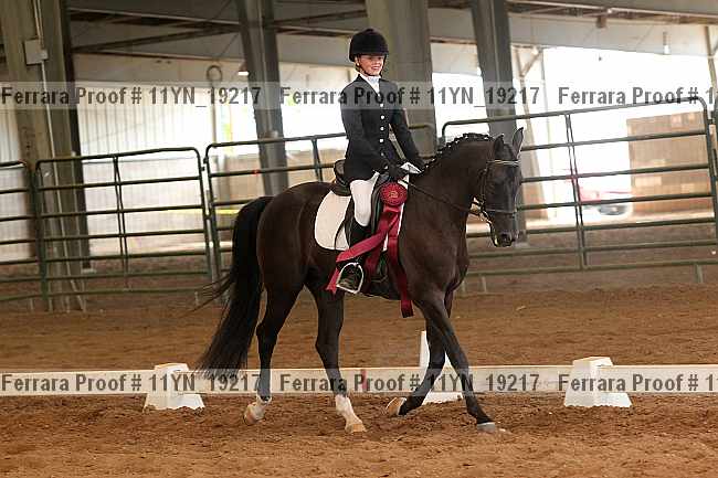 Proof Number 11yn_19217