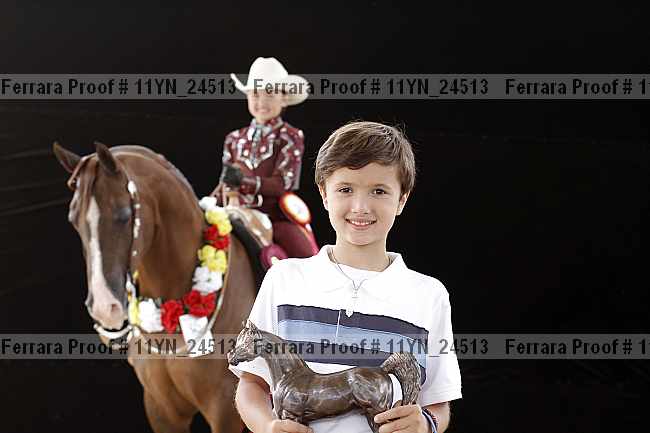 Proof Number 11yn_24513