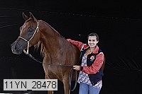 11yn_28478 thumbnail
