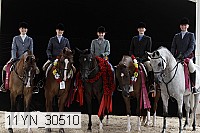 11yn_30510 thumbnail