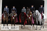 11yn_30511 thumbnail
