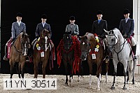 11yn_30514 thumbnail