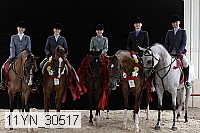 11yn_30517 thumbnail