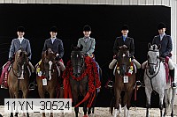 11yn_30524 thumbnail
