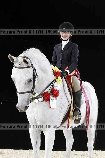 Proof Number 11yn_19050