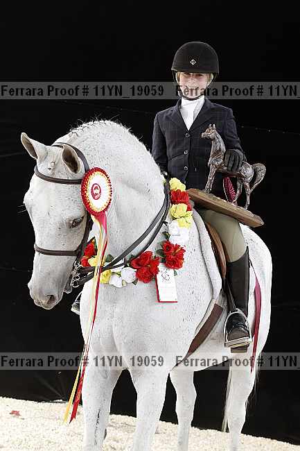 Proof Number 11yn_19059