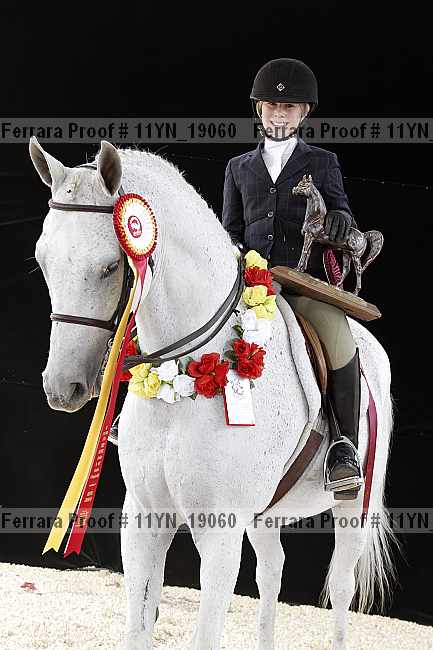 Proof Number 11yn_19060