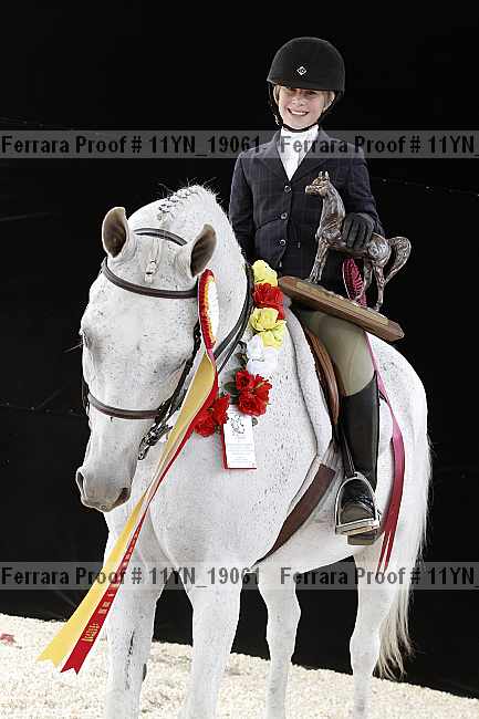 Proof Number 11yn_19061