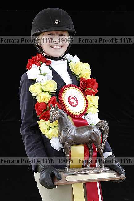 Proof Number 11yn_19065