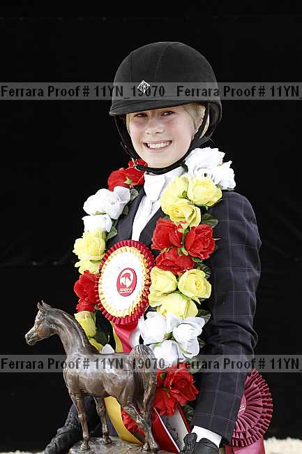 Proof Number 11yn_19070