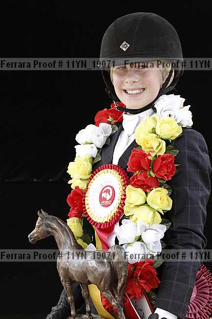 Proof Number 11yn_19071