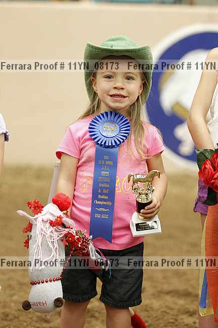 Proof Number 11yn_08173