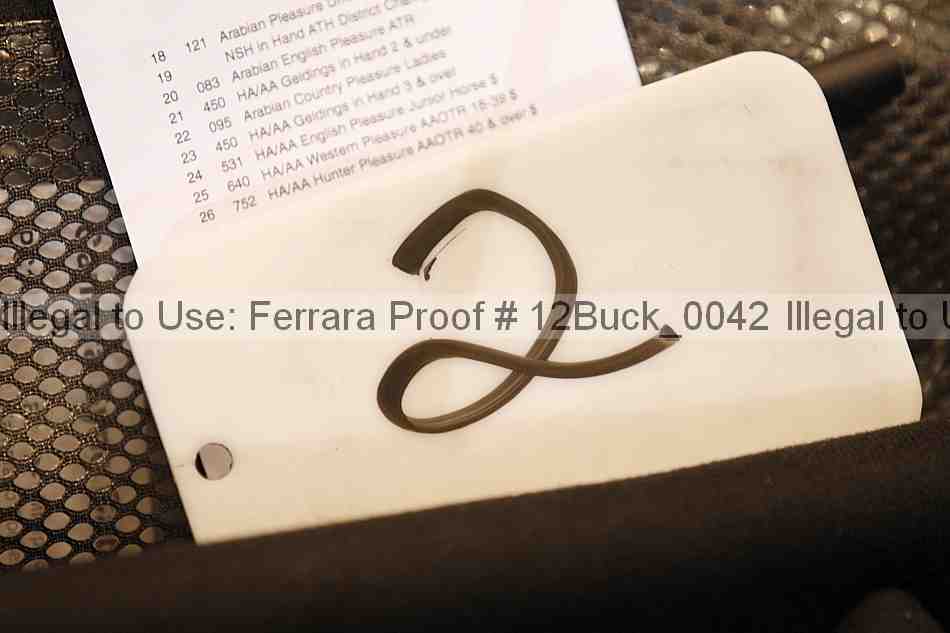 Proof Number 12buck_0042