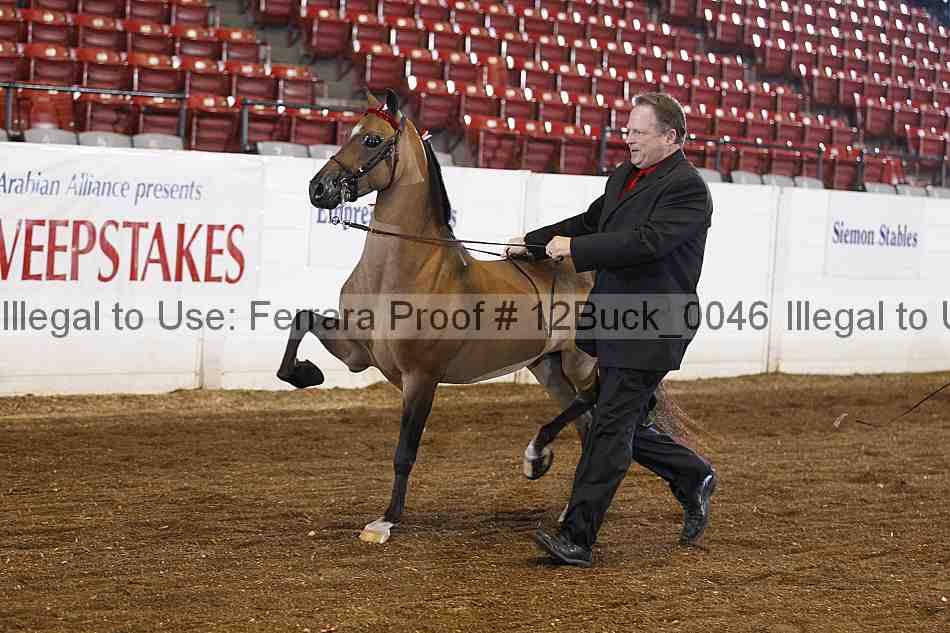 Proof Number 12buck_0046