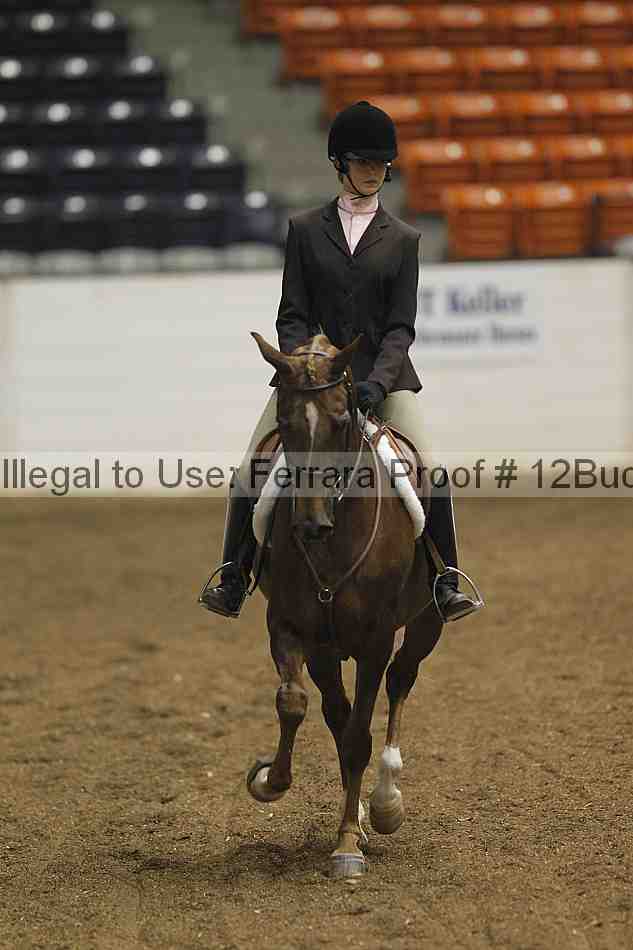 Proof Number 12buck_0068