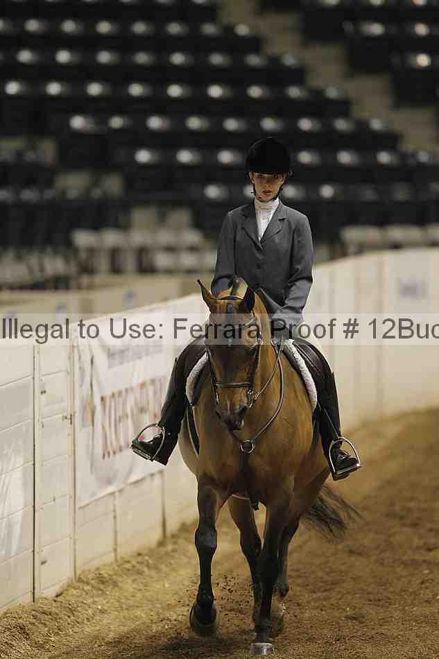 Proof Number 12buck_0073