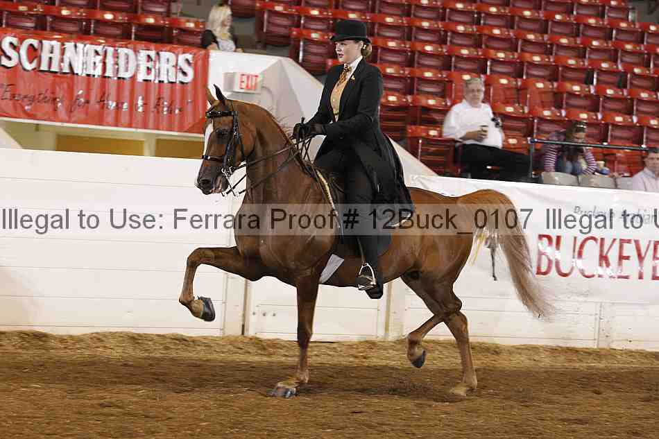 Proof Number 12buck_0107