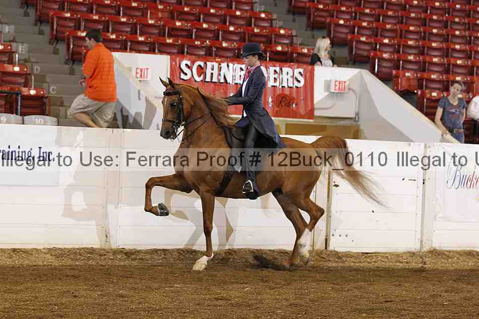 Proof Number 12buck_0110