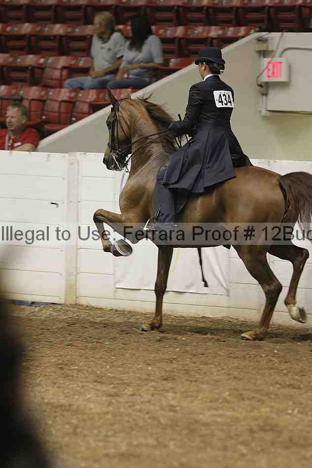 Proof Number 12buck_0137