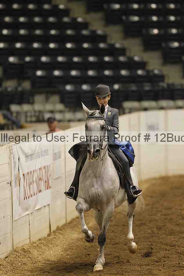 Proof Number 12buck_0146