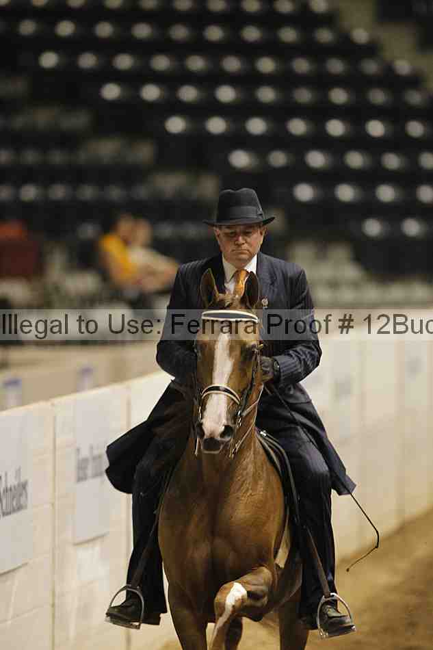 Proof Number 12buck_0157