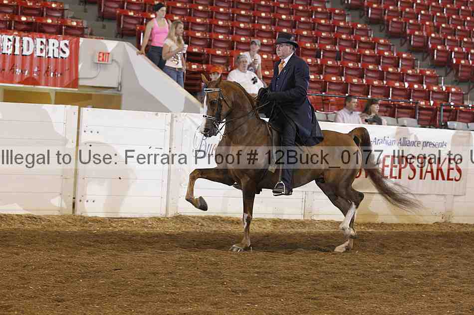 Proof Number 12buck_0177