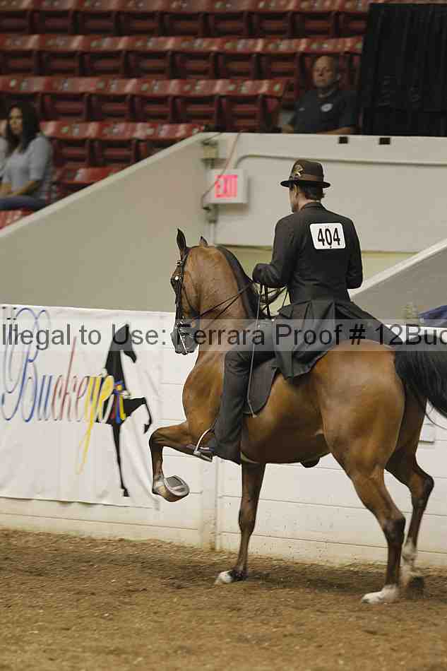 Proof Number 12buck_0181