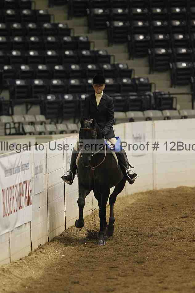 Proof Number 12buck_0206