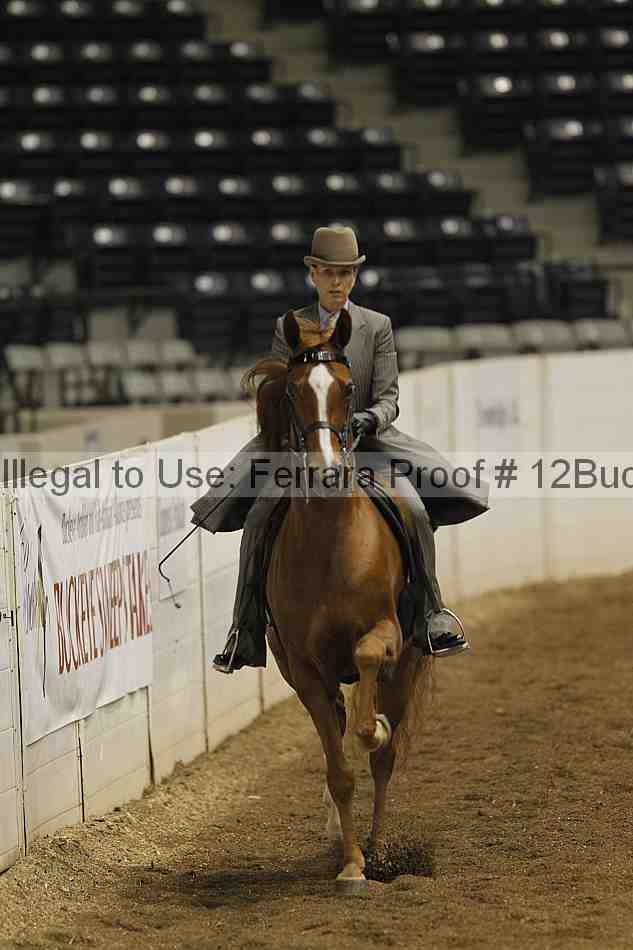 Proof Number 12buck_0253